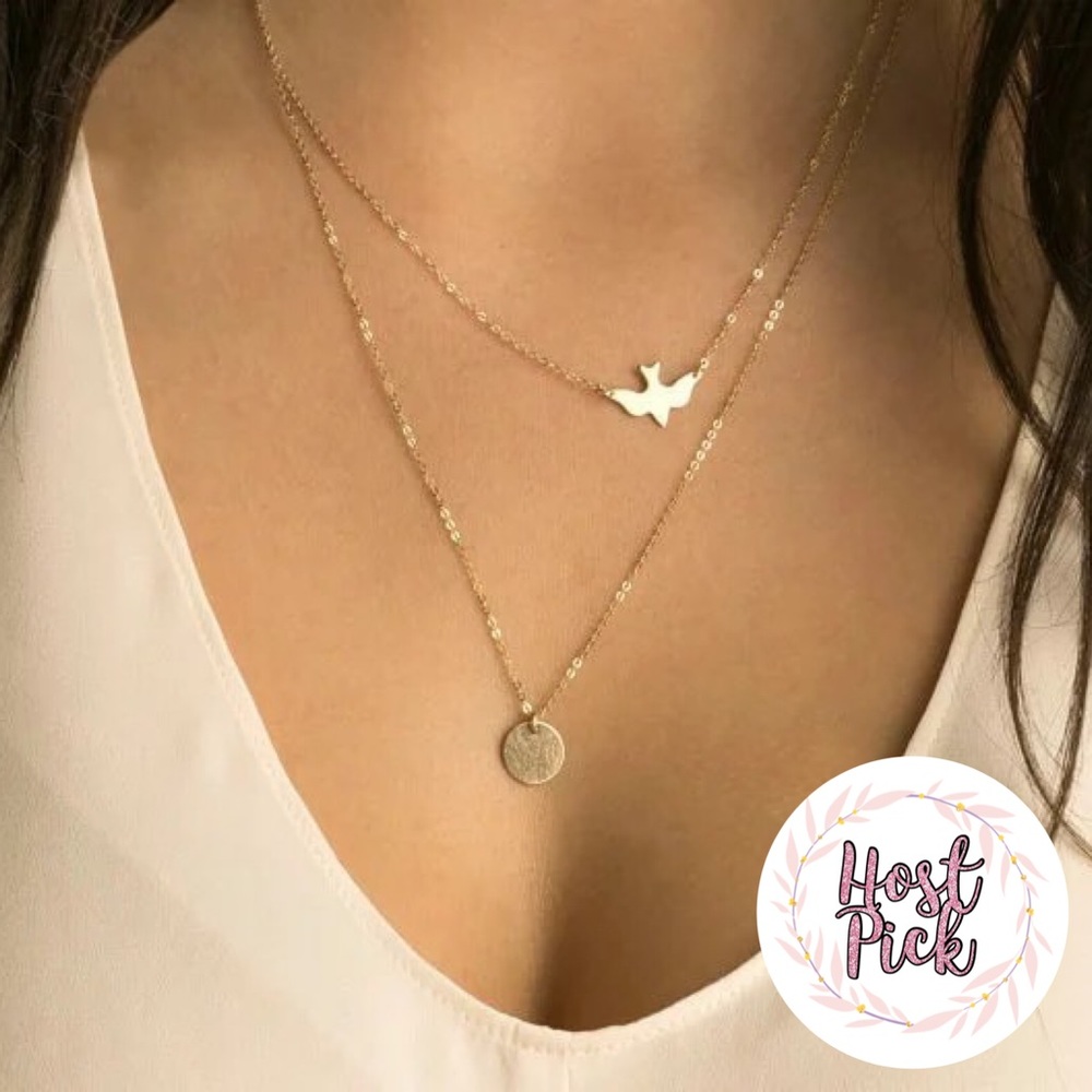 2xHP‼️3/$30 Boho Multilayer Dove Coin Necklace